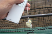 P1050400.JPGのサムネール画像のサムネール画像
