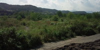 F1000006.JPG