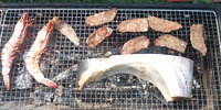 F1000006.JPG