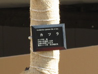 IMG_8562.JPG