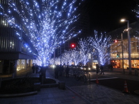 DSC00086.JPG
