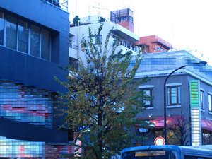 001_imanokatura.JPG