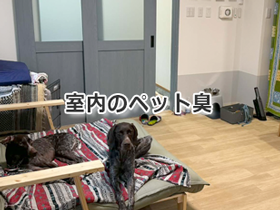 室内のペット臭