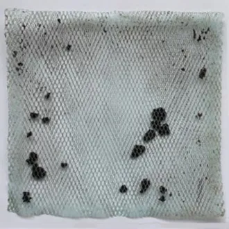 生分解96日目