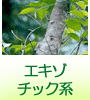 �G�L�]�`�b�N�n�̍���