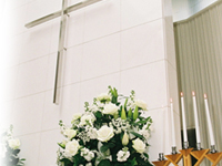 �ʐ^s11