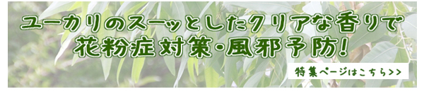 天然ユーカリビーズのお知らせ
