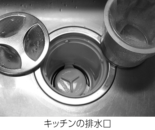 キッチンシンクの排水口