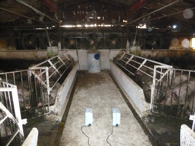 養豚場に設置した中和消臭器