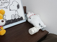 寝室の加齢臭のページへ