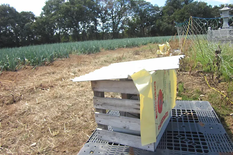 近隣の畑周辺に設置した中和消臭器