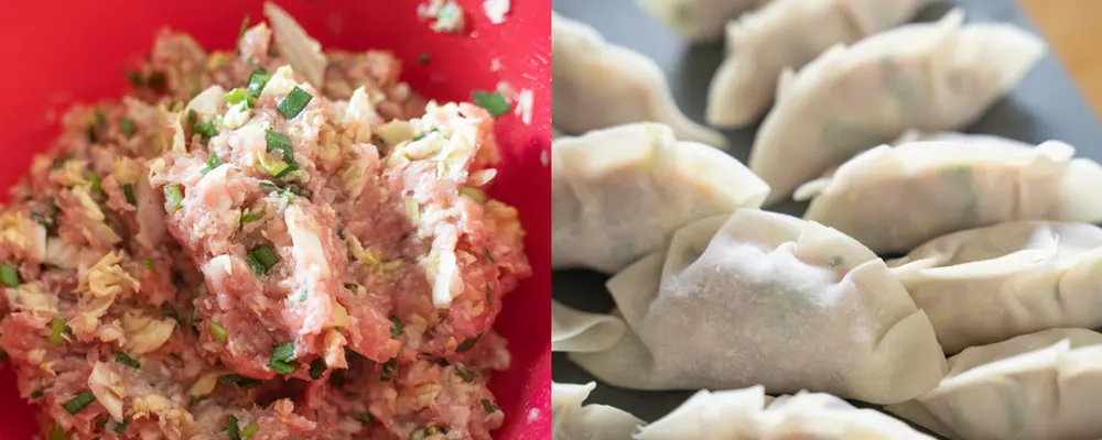 餃子の餡と生餃子イメージ