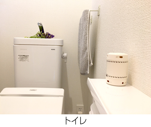 トイレに置いた森のカプセル