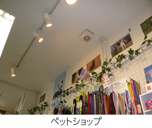 ペットショップ店内に取り付けたミニフォレスト