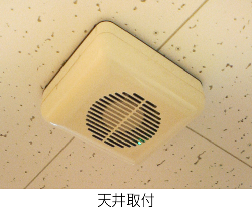 天井に取り付けたミニフォレスト