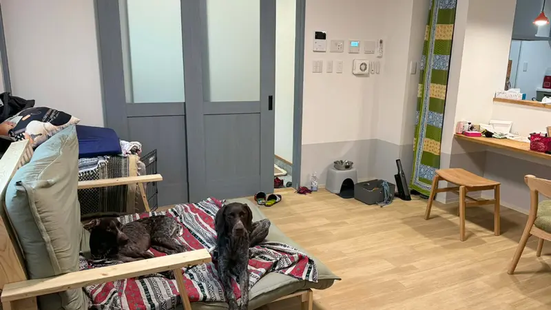 室内のペット臭対策のページへ 犬を室内で飼うドッグトレーナーの家庭リビング