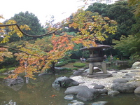FURUKAWA1.jpgのサムネール画像