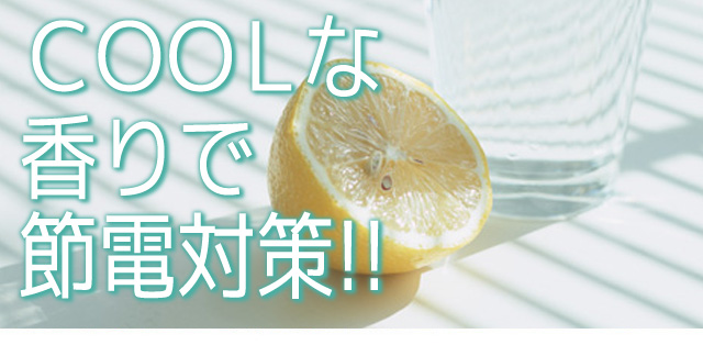 メインイメージ