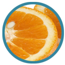 柑橘系イメージ