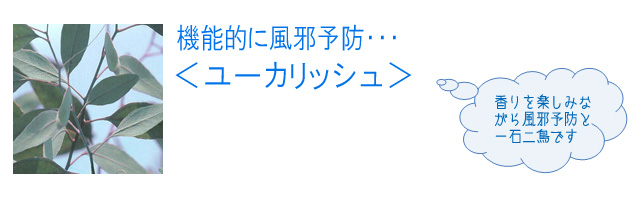 ユーカリッシュ