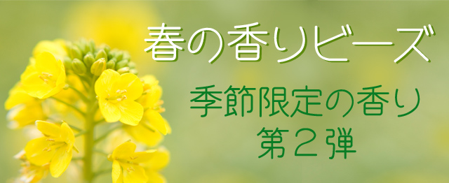 メインイメージ