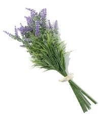 lavender.jpg