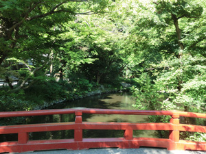 神社の森林浴