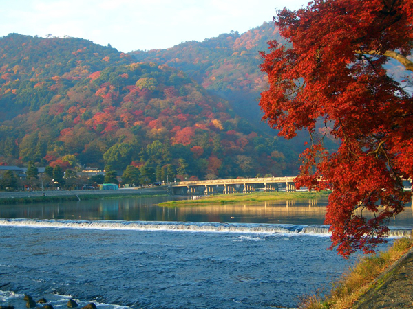 京都の紅葉イメージ